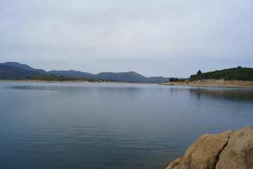 Naturaleza, animales, vacas, patos, cielo, noche, rio, bosque, lago, Nature, animals, cows, ducks, sky, night, river, forest, lake