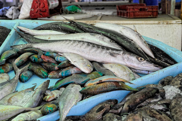Variety of fresh fish on local market for sale