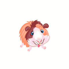 Sweet, guinea pig clipart illustration vector