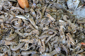 Fresh fish on market for sale