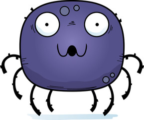 Surprised Little Spider