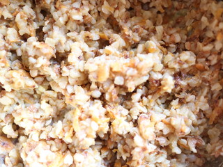 buckwheat porridge close-up