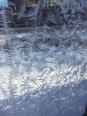 Frosted Window Pane Pattern or Texture on Glass