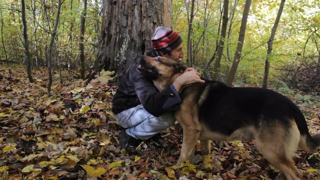 A man stroking a dog in the woods,happy man stroking his dog in the fall forest