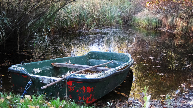 Rowboat in the swamp