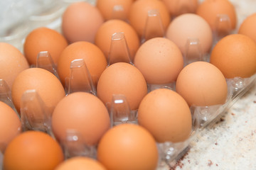eggs that have just been collected at the farm
