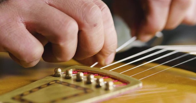 In his laboratory, a liutist builds high quality guitars for musicians, working fine wood. Concept of: music, tradition, ancient crafts.