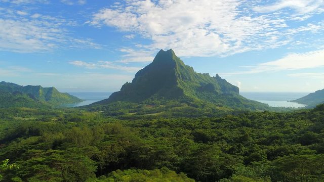 Aerial view of Mount Rotui, lush green jungle, picturesque hills, mountains, valleys and bays - Moorea island, South Pacific Ocean, French Polynesia landscape from above, 4k