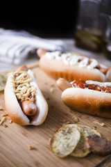 Hot Dogs Perros Calientes Perritos