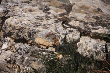 rochers près de la cascade du Sautadet