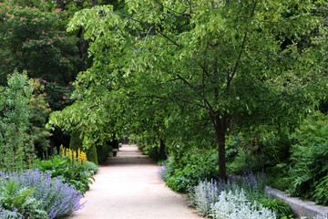 Detail of the lush green Royal Botanical Garden of Madrid (Real Jardin Botanico) in the capital of Spain, Europe. Trees, flowers, pathway and beautiful nature landscape. 