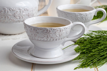 Two cups of horsetail tea with fresh Equisetum arvense twigs