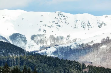 Fotobehang Winterlandschap met besneeuwd bos hoog in de bergen. © Antonio Gravante