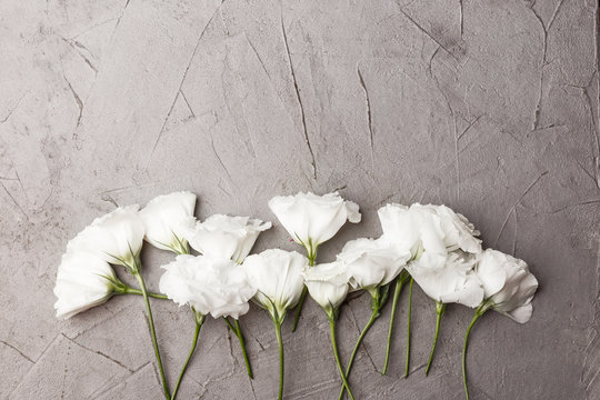 White Flowers On A Concrete Table. View From Above. Template For Design.