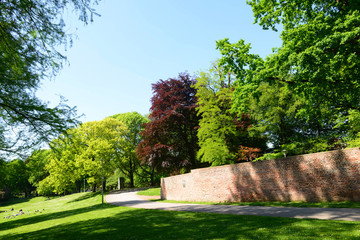 Beautiful trees in the park, Monchengladbach