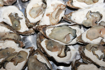 a plate of a dozen oysters open