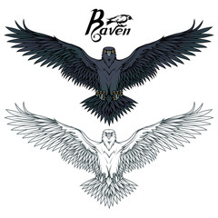Fototapeta premium Hand drawn of the raven. Wild birds drawing. Raven logo. Vector graphics to design.