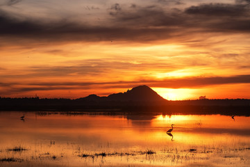 Fototapeta na wymiar Beautiful landscape view on lake and mountain during sunset or sunrise in Sri Lanka