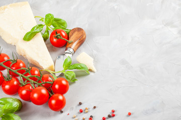 Bunch of fresh basil, tomatoes, parmesan cheese, garlic and olive oil - traditional ingredient of italian cuisine