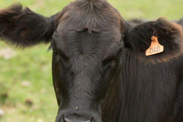 posando para la foto