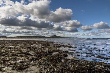 Rocky English coastline view, Bamburgh castle