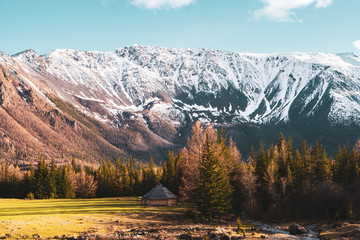 incredible landscape with trees on the background of snow-covered peaks of the Altai mountains