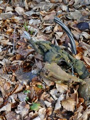 Gebogener Draht im Waldboden