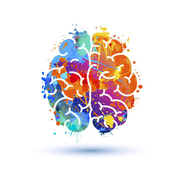 Human brain icon. Splash paint