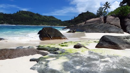 Seychellen-Dream