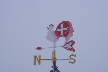 Wind vane