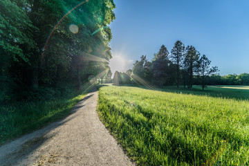 Der Weg zum Licht
