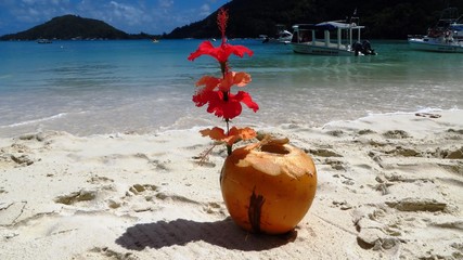 Coco and Flower