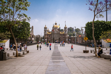 guadalupe basilic in mexico city - 206267543