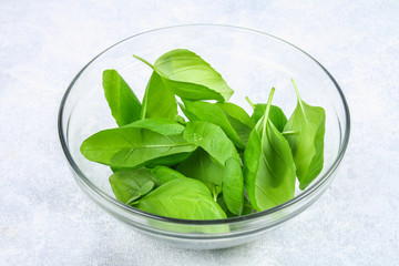 Green fresh homemade basil, spicy herb in a glass bowl on a gray concrete table.
