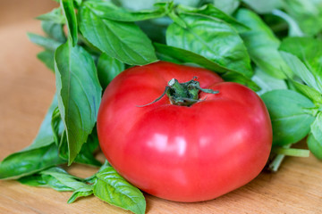 One big  fresh ripe organic tomato with green basil leaves on wooden table. Close-up
