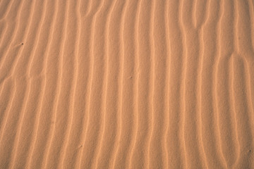 sand texture