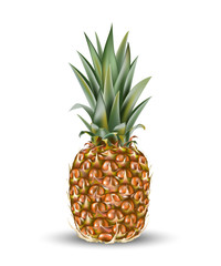 Fototapeta premium Pineapple ananas fruit for fresh juice. 3d realistic yellow, green, brown ripe pineapple isolated on white background for packaging or web design.
