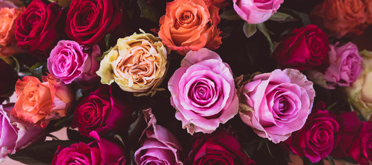 Bouquet of colorful roses