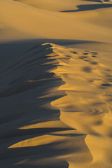 dunes and sand in desert landscape