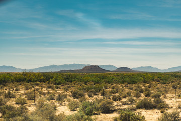 desert landscape