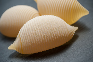 closeup of shaped seashell pasta on chalkboard background