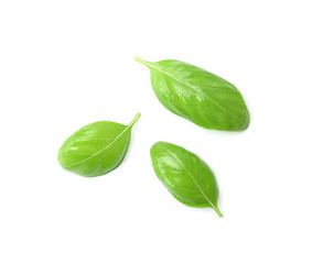 Obraz premium Fresh green basil leaves on white background, top view