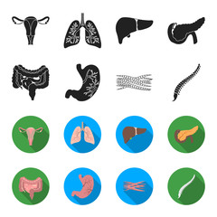 Intestines, stomach, muscles, spine. Organs set collection icons in black,flet style vector symbol stock illustration web. © pandavector