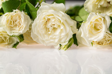 beautiful white flower