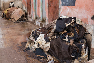 Tannery in Marrakech, Africa