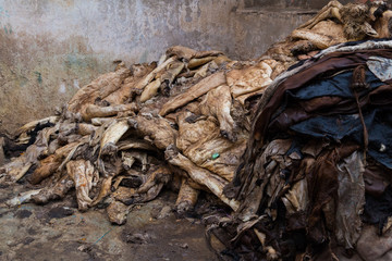 Tannery in Marrakech, Africa