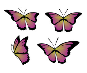 Butterfly vector set
