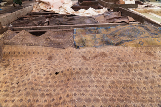 Tannery in Marrakech, Africa