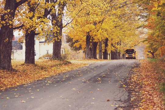 School Bus On Rural Road In Autumn