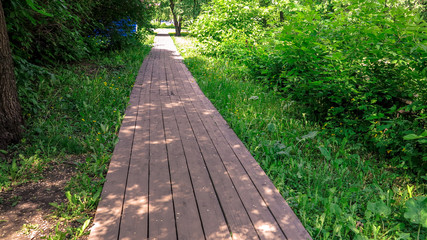 the footpath made of wooden boards